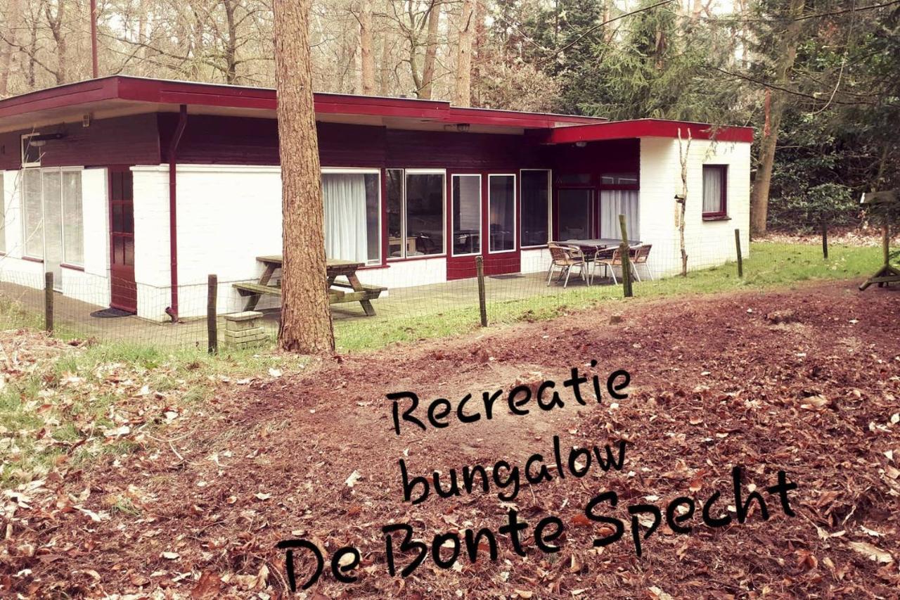 Bonte Specht Villa Otterlo Ngoại thất bức ảnh